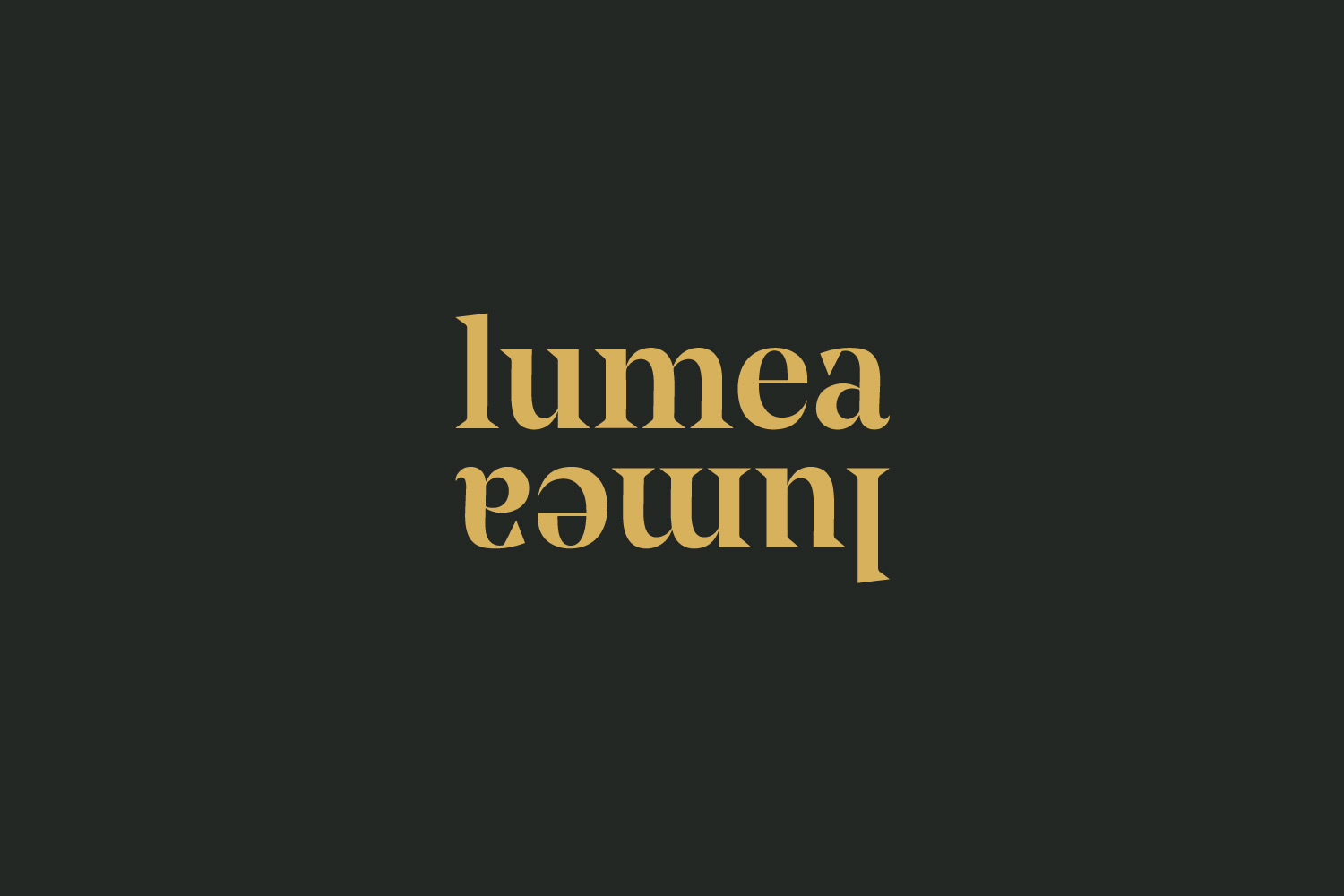 Lumea Photo branding design by Now or Never Design